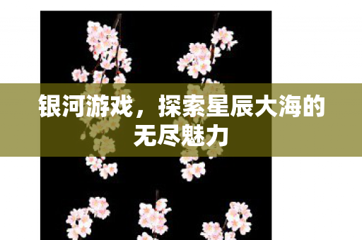 银河游戏，探索星辰大海的无尽魅力