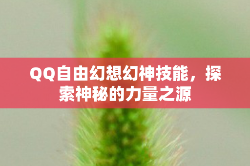 QQ自由幻想幻神技能，探索神秘的力量之源