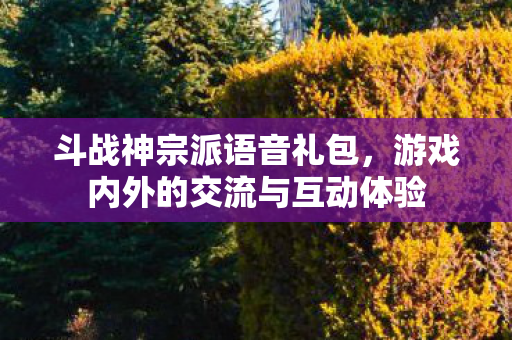 斗战神宗派语音礼包，游戏内外的交流与互动体验