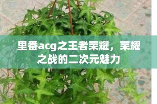里番acg之王者荣耀，荣耀之战的二次元魅力