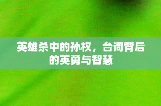 英雄杀中的孙权，台词背后的英勇与智慧