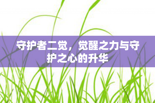 守护者二觉，觉醒之力与守护之心的升华