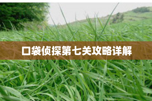 口袋侦探第七关攻略详解