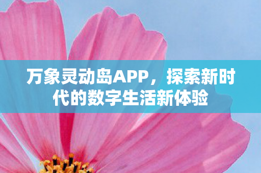 万象灵动岛APP，探索新时代的数字生活新体验