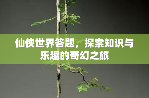 仙侠世界答题，探索知识与乐趣的奇幻之旅