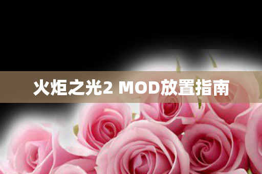火炬之光2 MOD放置指南