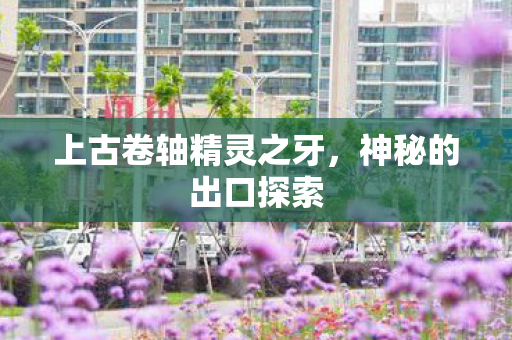 上古卷轴精灵之牙，神秘的出口探索