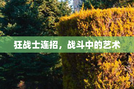 狂战士连招，战斗中的艺术