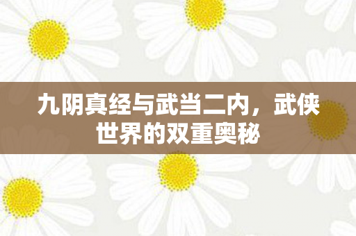 九阴真经与武当二内，武侠世界的双重奥秘