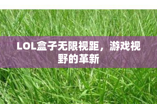 LOL盒子无限视距，游戏视野的革新