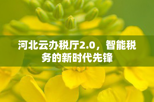 河北云办税厅2.0，智能税务的新时代先锋