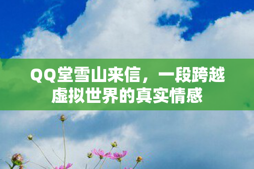 QQ堂雪山来信，一段跨越虚拟世界的真实情感