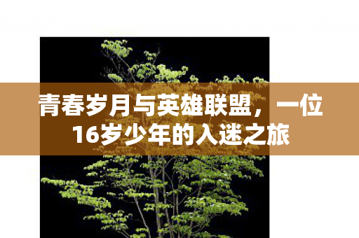 青春岁月与英雄联盟，一位16岁少年的入迷之旅