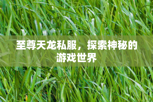 至尊天龙私服，探索神秘的游戏世界