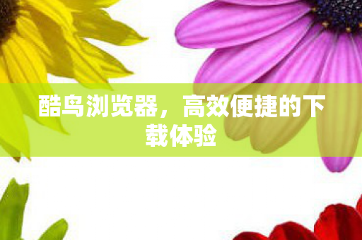 酷鸟浏览器，高效便捷的下载体验