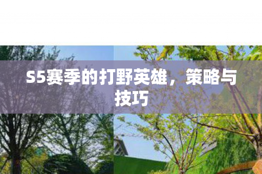 S5赛季的打野英雄，策略与技巧