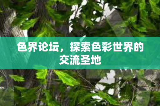 色界论坛，探索色彩世界的交流圣地