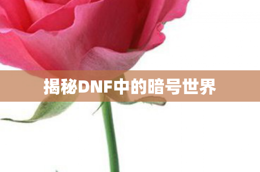 揭秘DNF中的暗号世界