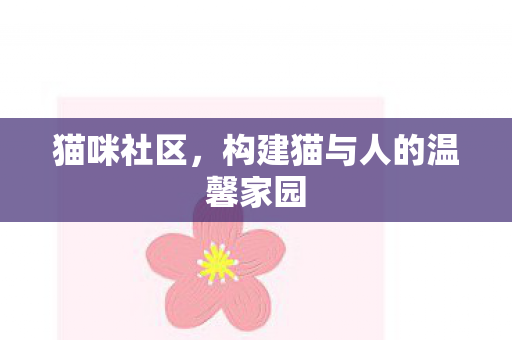 猫咪社区，构建猫与人的温馨家园