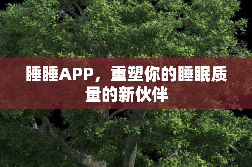 睡睡APP，重塑你的睡眠质量的新伙伴