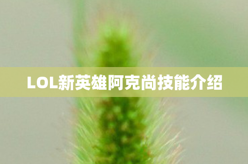 LOL新英雄阿克尚技能介绍