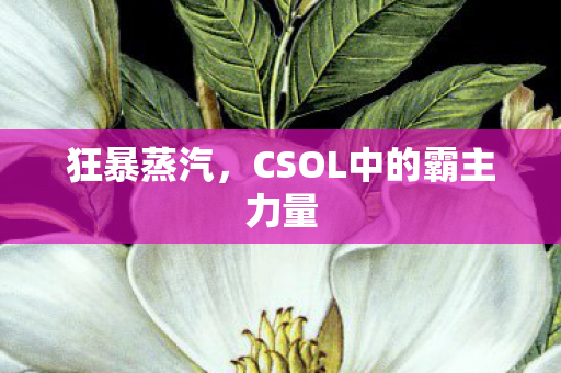 狂暴蒸汽，CSOL中的霸主力量