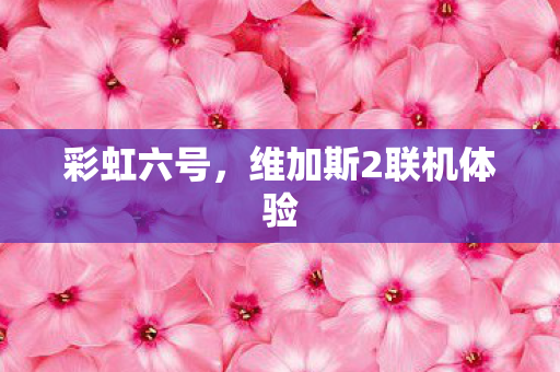 彩虹六号，维加斯2联机体验