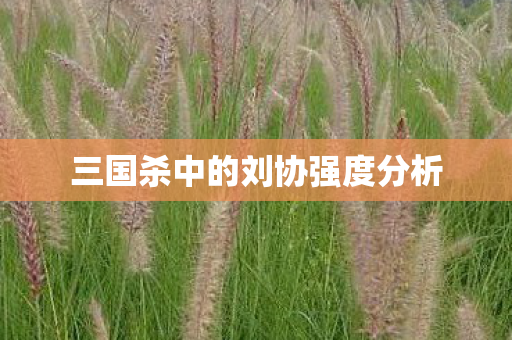 三国杀中的刘协强度分析