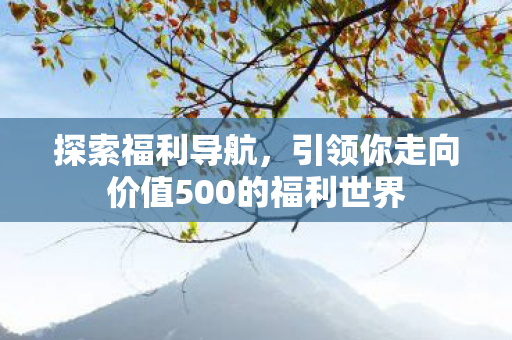 探索福利导航，引领你走向价值500的福利世界