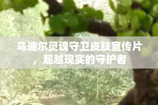 乌迪尔灵魂守卫皮肤宣传片，超越现实的守护者