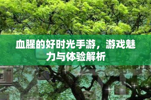 血腥的好时光手游,游戏魅力与体验解析 血腥的好时光手游,游戏魅力与体验解析