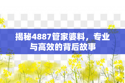 揭秘4887管家婆料，专业与高效的背后故事