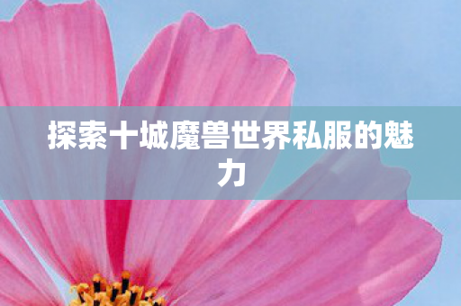探索十城魔兽世界私服的魅力