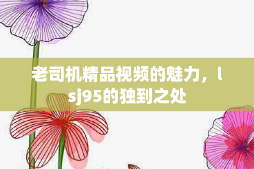 老司机精品视频的魅力，lsj95的独到之处