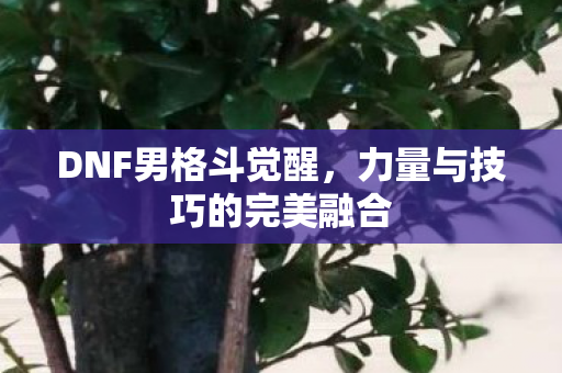 DNF男格斗觉醒，力量与技巧的完美融合