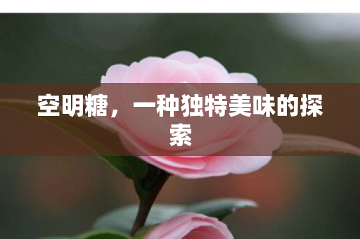 空明糖，一种独特美味的探索