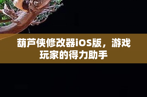 葫芦侠修改器iOS版，游戏玩家的得力助手