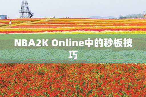 NBA2K Online中的秒板技巧
