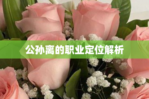 公孙离的职业定位解析