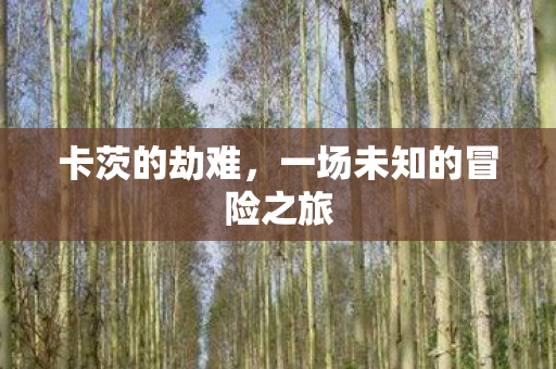 卡茨的劫难，一场未知的冒险之旅