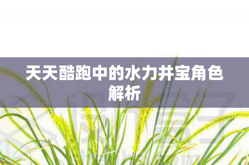 天天酷跑中的水力井宝角色解析