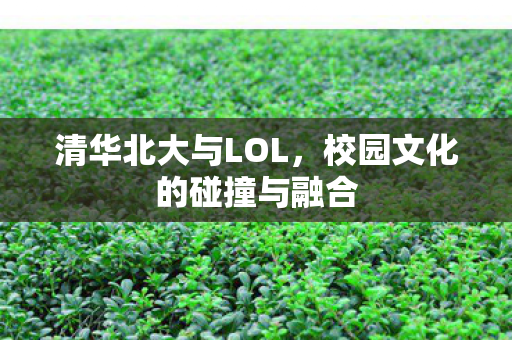 清华北大与LOL，校园文化的碰撞与融合