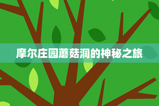 摩尔庄园蘑菇洞的神秘之旅