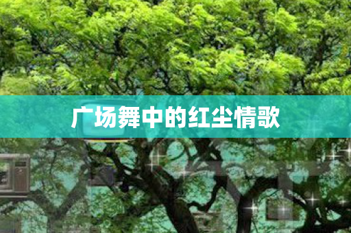 广场舞中的红尘情歌