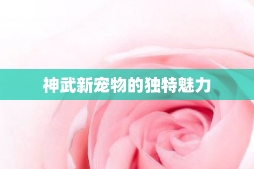神武新宠物的独特魅力 神武新宠物的独特魅力