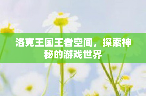 洛克王国王者空间，探索神秘的游戏世界