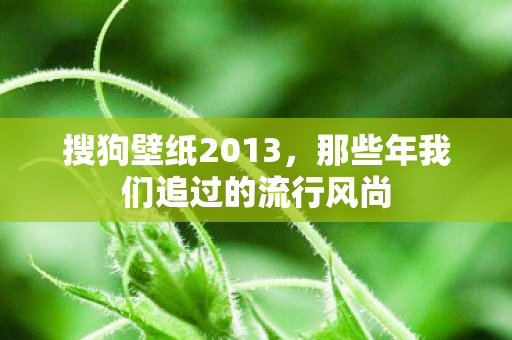 搜狗壁纸2013，那些年我们追过的流行风尚