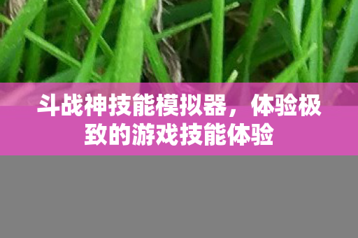 斗战神技能模拟器，体验极致的游戏技能体验