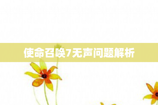 使命召唤7无声问题解析