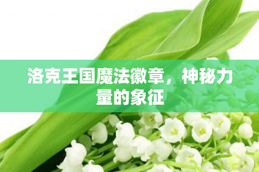 洛克王国魔法徽章，神秘力量的象征